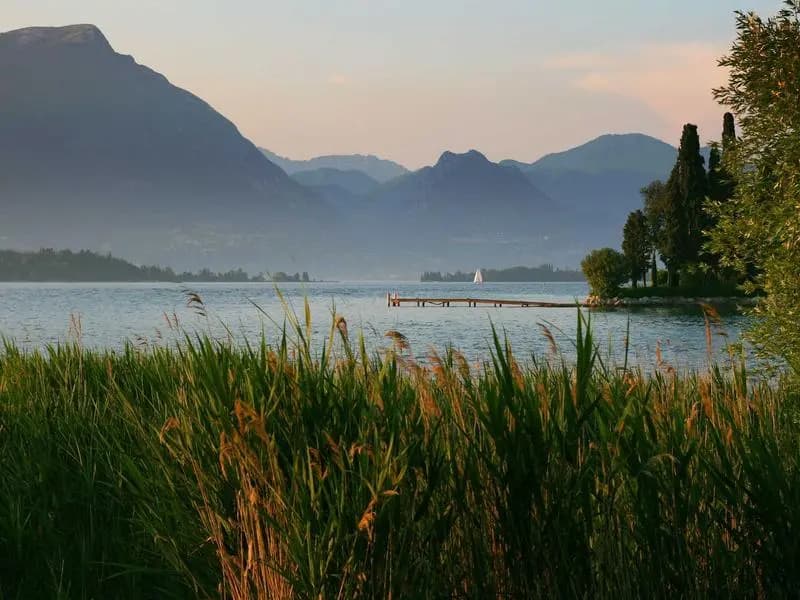 What are your go-to 'unplug' activities?