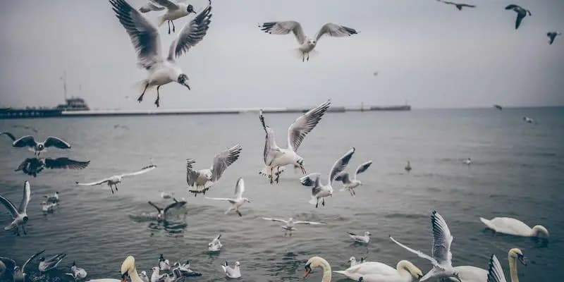 Gratitude Journaling: A Simple Habit with Profound Benefits