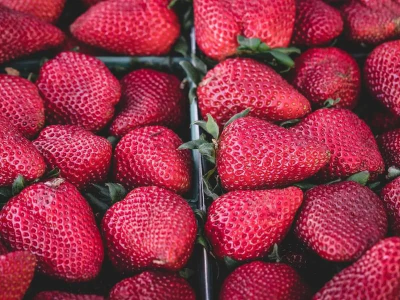 The Power of Saying What You Feel