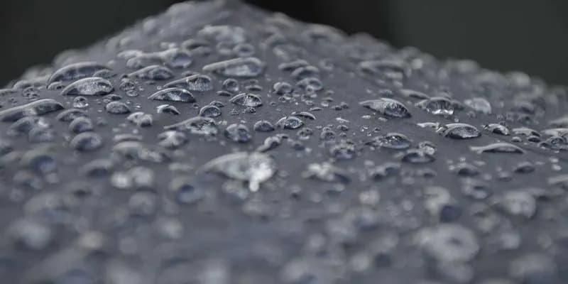 The Unseen Weight of Student Stress