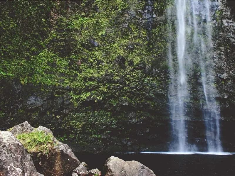 Grief is Not a Problem to be Solved