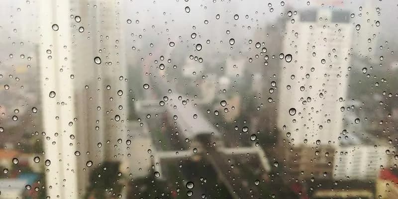 Finding Stillness in a Noisy World