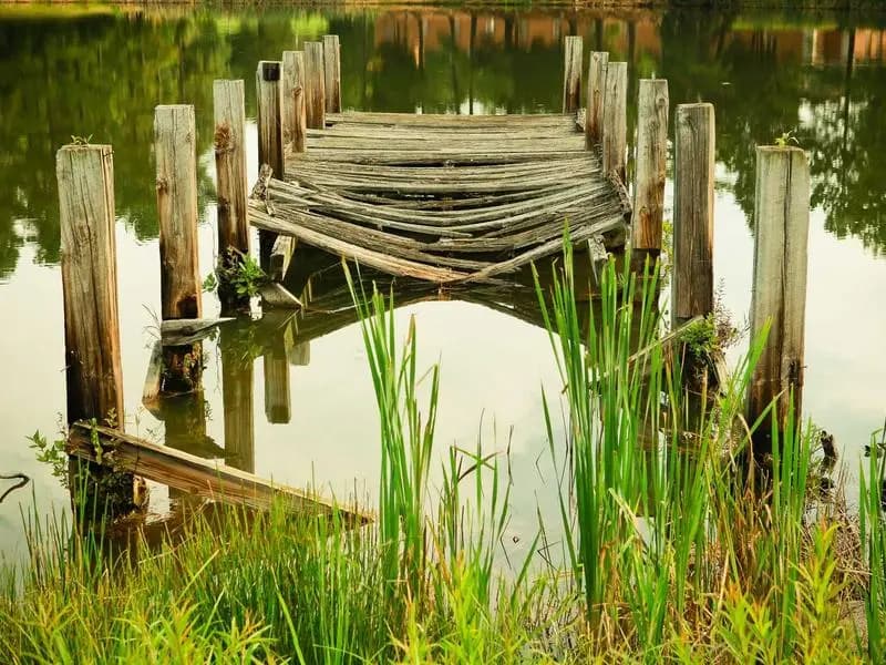 A Different Kind of Strength