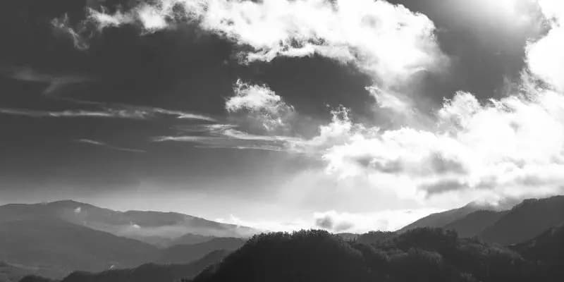 The Courage to Be Vulnerable