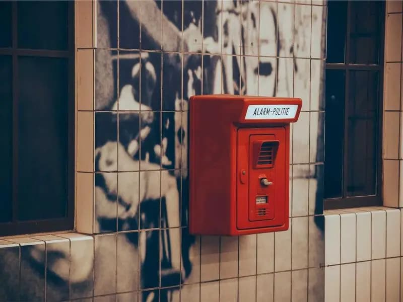 Letting Go of the "Shoulds"